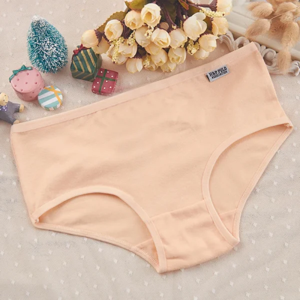 7Pcs/Lot Women's Panties Plus Size Underwear Cotton Briefs Girls Soft Pantys Female Intimates Underpant for Women Sexy Lingeries - Image 5